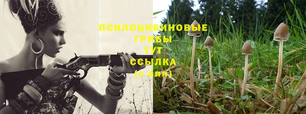 соль курить ск Заволжье