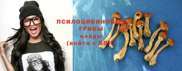 соль курить ск Заволжье