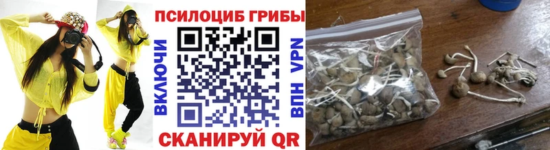 Галлюциногенные грибы ЛСД  Купить где  Жиздра 